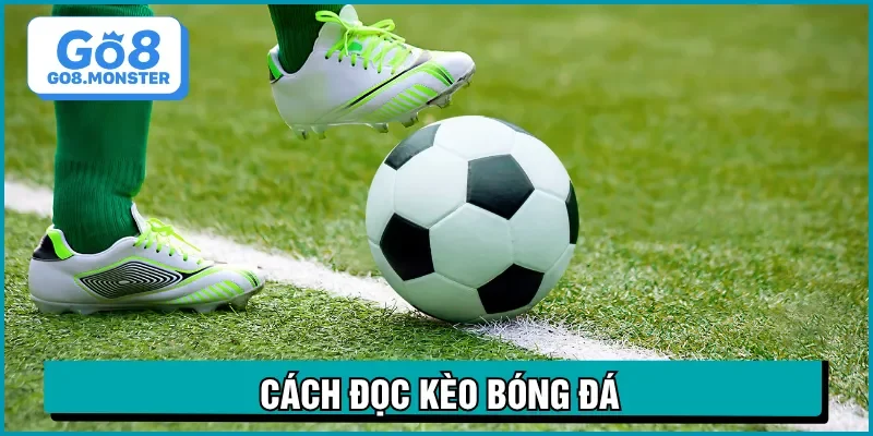 cách đọc kèo bóng đá