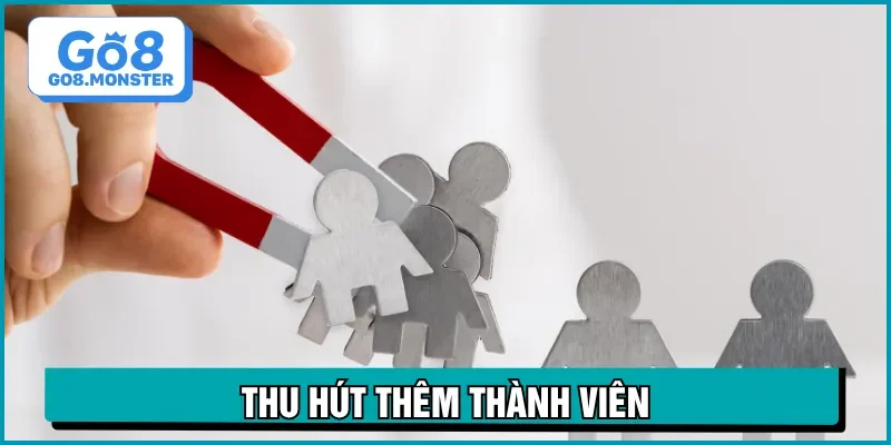 chính sách bảo mật thu hút thành viên