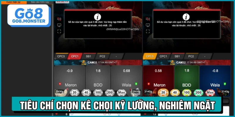 đá gà cựa dao cách chọn gà