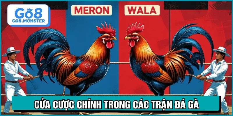 đá gà thomo cửa cược