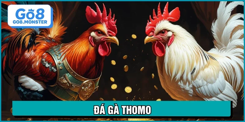 đá gà thomo