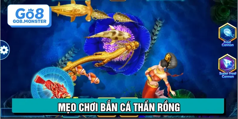 mẹo chơi bắn cá thần rồng