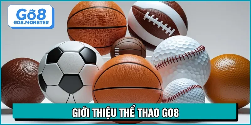 thể thao go8 giới thiệu
