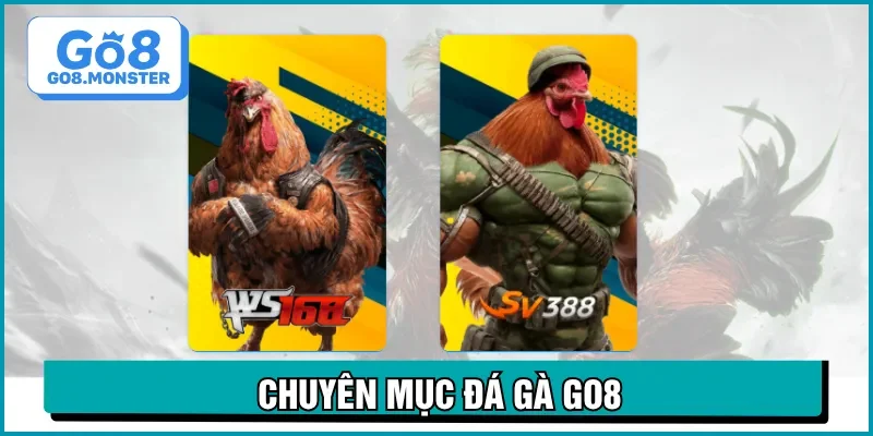tổng quan đá gà go8